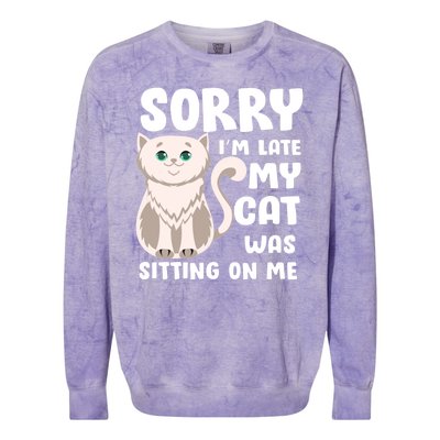 Sorry I'm Late My Cat Was Sitting On Me Colorblast Crewneck Sweatshirt