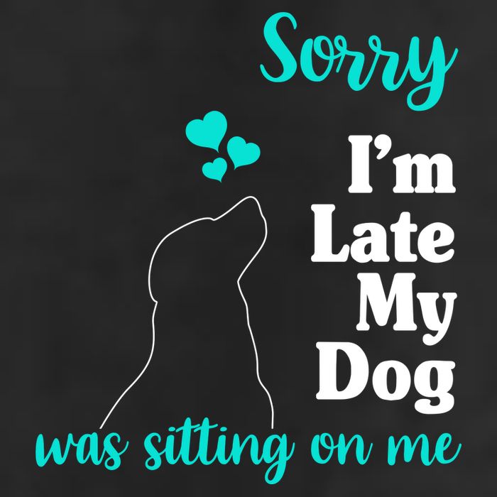 Sorry I'm Late My Dog Was Sitting On Me Adult Drive Performance Visor