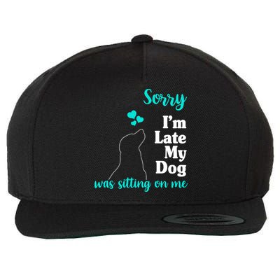 Sorry I'm Late My Dog Was Sitting On Me Wool Snapback Cap