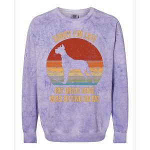 Sorry IM Late My Great Dane Was Sitting On Me Great Dane Colorblast Crewneck Sweatshirt