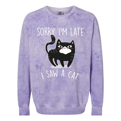 Sorry IM Late I Saw A Cat Funny Cat Lover Gift Great Gift Colorblast Crewneck Sweatshirt