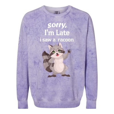 Sorry I'am Late A Saw A Racoon Funny Racoon Cool Gift Colorblast Crewneck Sweatshirt