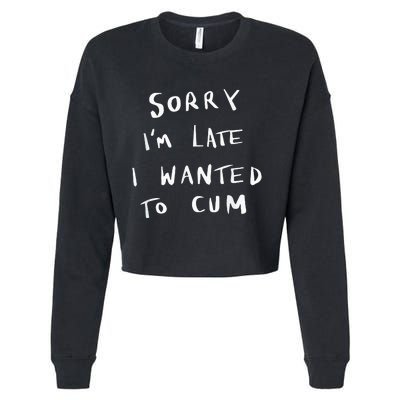 Sorry I’m Late I Wanted To Cum vintage Cropped Pullover Crew