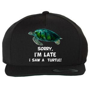 Sorry I'am Late A Saw A Turtle Funny Turtle Gift Wool Snapback Cap