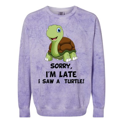 Sorry I'am Late A Saw A Turtle Funny Turtle Cool Gift Colorblast Crewneck Sweatshirt