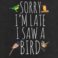 Sorry IM Late I Saw A Bird Cute Bird Lover Birding Adult Drive Performance Visor