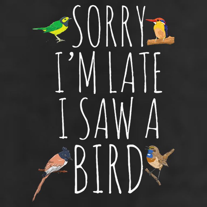 Sorry IM Late I Saw A Bird Cute Bird Lover Birding Adult Drive Performance Visor
