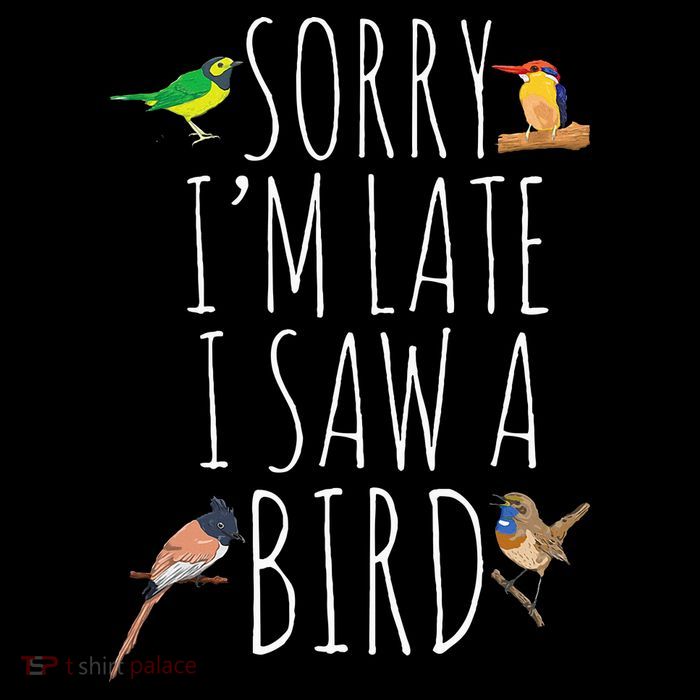 Sorry IM Late I Saw A Bird Cute Bird Lover Birding 16 in Basic Backpack