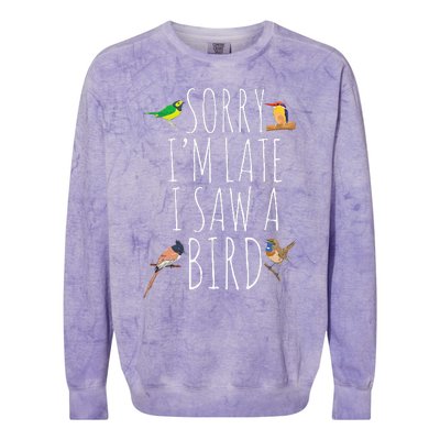 Sorry IM Late I Saw A Bird Cute Bird Lover Birding Colorblast Crewneck Sweatshirt