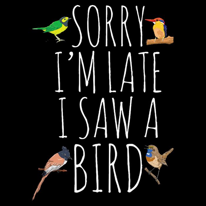 Sorry IM Late I Saw A Bird Cute Bird Lover Birding 16 in Basic Backpack