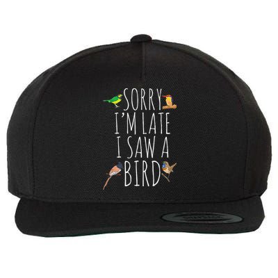 Sorry IM Late I Saw A Bird Cute Bird Lover Birding Wool Snapback Cap