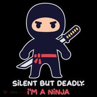 Silent But Deadly I'm A Ninja Poster