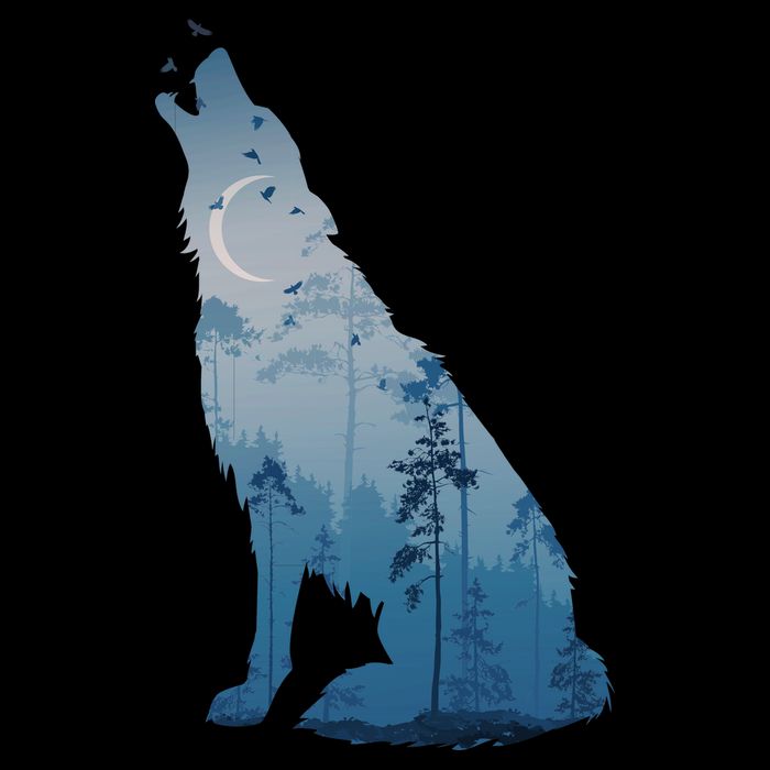 Silhouette Of The Howling Wolf Flatbill Hat