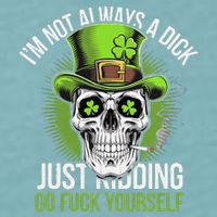 Skull IM Not Always A Dick Just Ding Go Fuck Yourself .Png Sueded Cloud Jersey T-Shirt
