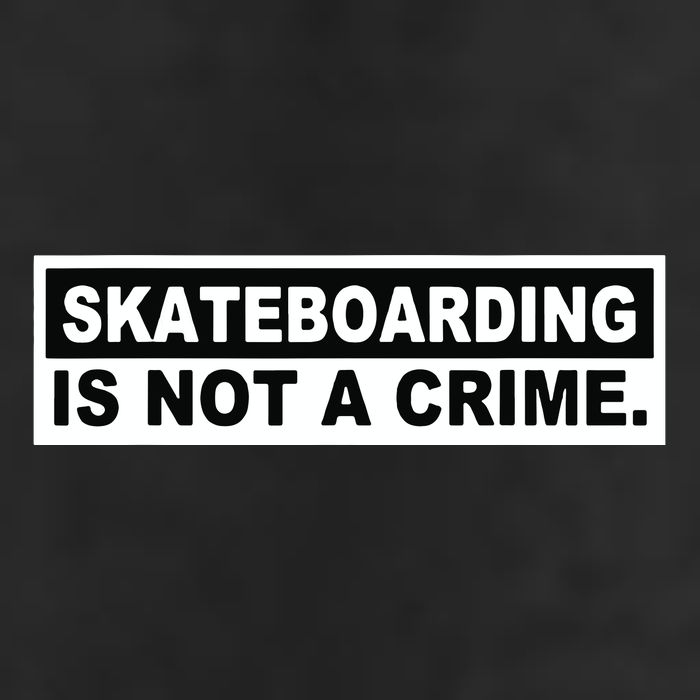 Skateboarding Is Not A Crime Cool Design 15oz Campfire Ceramic Mug