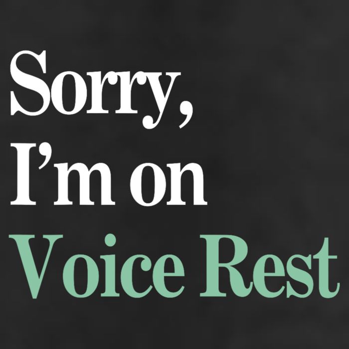 Sorry IM On Voice Rest Funny Vocal Garment-Dyed Fleece Hoodie