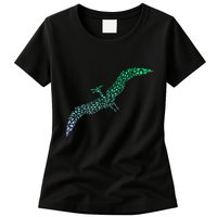 Silhouette Icon Pterodactyl Dinosaur Pterodactyl Womens T-Shirt