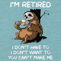 Sloth IM Retired I DonT Have To I DonT Want To You CanT Sueded Cloud Jersey T-Shirt