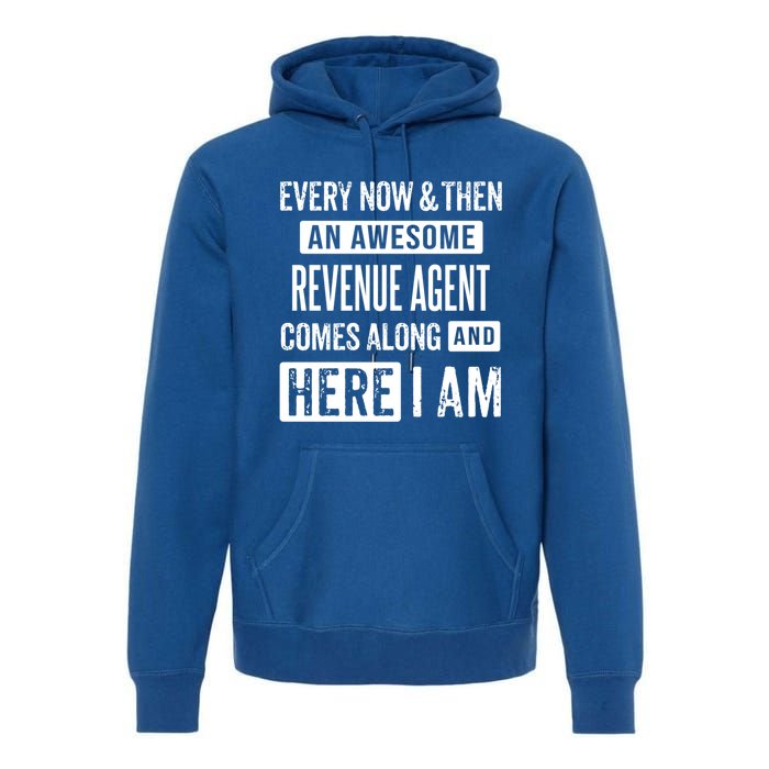 Sarcastic Internal Revenue Agent Funny Saying Gift Premium Hoodie