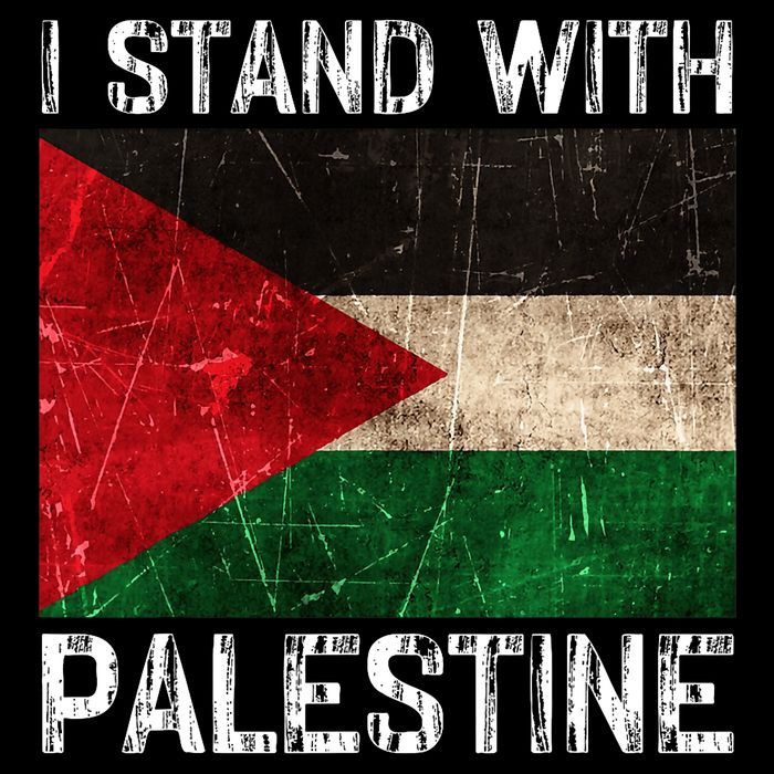 Support I Stand With Palestine Free Palestine Flag Arabic Wool Snapback Cap