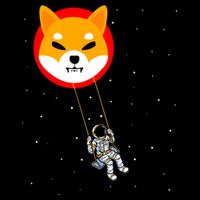 Shiba Inu Swing Army Cryptocurrency Token Doge 16 in Basic Backpack