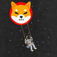 Shiba Inu Swing Army Cryptocurrency Token Doge 25L Jumbo Tote