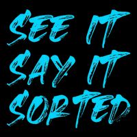 See It Say It Sorted Womens T-Shirt