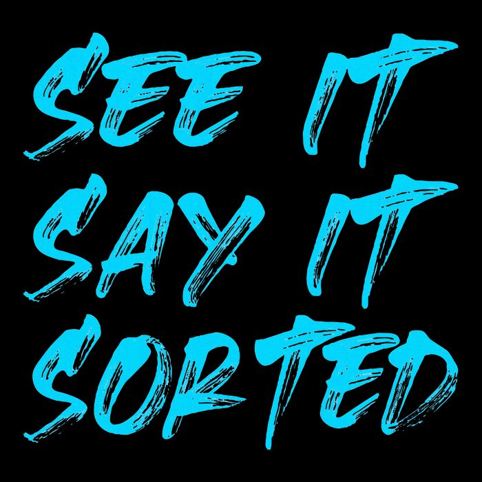 See It Say It Sorted Womens T-Shirt