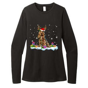 Santa Irish Setter Funny Christmas Lights Santa Reindeer Dog Gift Womens CVC Long Sleeve Shirt