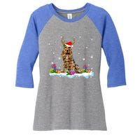 Santa Irish Setter Funny Christmas Lights Santa Reindeer Dog Gift Women's Tri-Blend 3/4-Sleeve Raglan Shirt