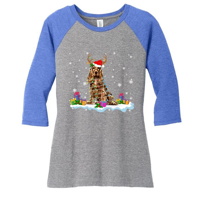 Santa Irish Setter Funny Christmas Lights Santa Reindeer Dog Gift Women's Tri-Blend 3/4-Sleeve Raglan Shirt