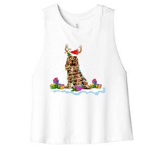 Santa Irish Setter Funny Christmas Lights Santa Reindeer Dog Gift Women's Racerback Cropped Tank