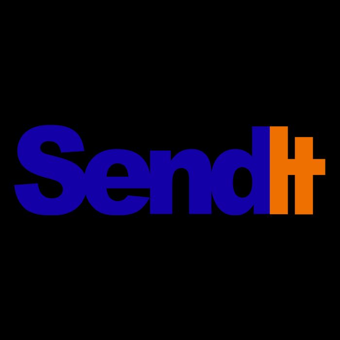 Sent It Spoof Parody Logo City Backpack
