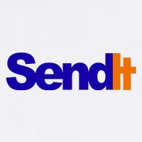 Sent It Spoof Parody Logo Sustainable Bucket Hat