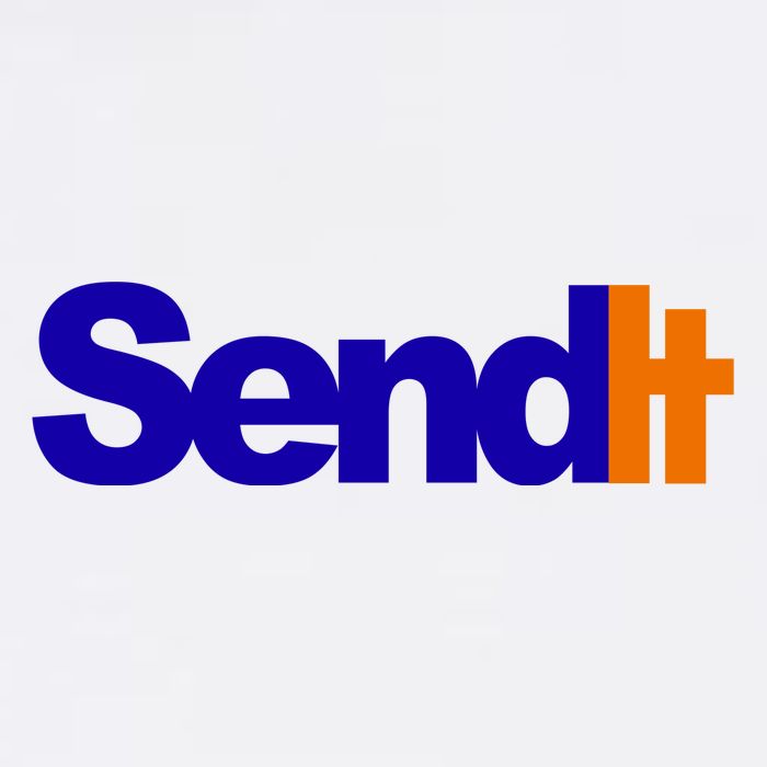 Sent It Spoof Parody Logo Sustainable Bucket Hat