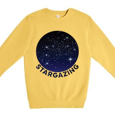 Stars In Sky Meaningful Gift Cool Astronomy Themed Gift Idea Meaningful Gift Sta Premium Crewneck Sweatshirt