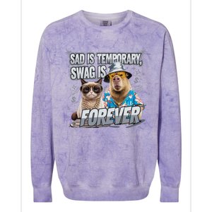 Sad Is Temporary Swag Is Forever Silly Cat Meme Capybara Colorblast Crewneck Sweatshirt