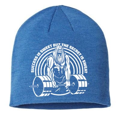 Sweat Is The Secret Deadlifter Funny Gift Sustainable Beanie