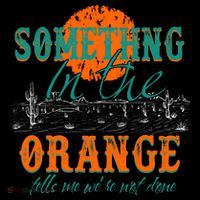 Something In The Orange Tells Me We're Not Done Sustainable Beanie