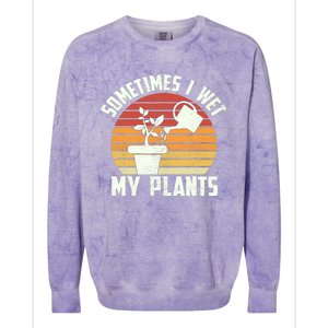 Sometimes I Wet My Plants Gardening & Plant Lover Gardener Colorblast Crewneck Sweatshirt