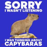 Sorry I WasnT Listening I Was Thinking About Capybaras Poster