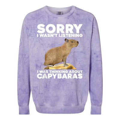 Sorry I WasnT Listening I Was Thinking About Capybaras Colorblast Crewneck Sweatshirt