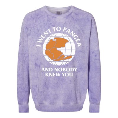 Shitheadsteve I Went To Pangea And Nobody Knew You Colorblast Crewneck Sweatshirt