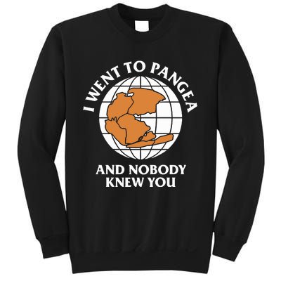 Shitheadsteve I Went To Pangea And Nobody Knew You Sweatshirt