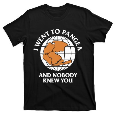 Shitheadsteve I Went To Pangea And Nobody Knew You T-Shirt