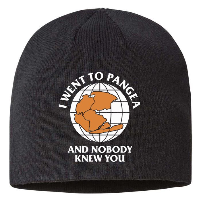 Shitheadsteve I Went To Pangea And Nobody Knew You Sustainable Beanie