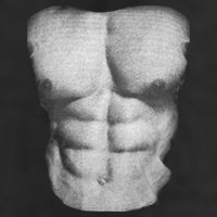 Six Pack Abs 25L Jumbo Tote