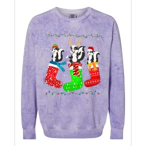 Skunk In Xmas Socks Funny Holiday Ugly Sweater Christmas Long Sleeve Colorblast Crewneck Sweatshirt