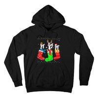 Skunk In Xmas Socks Funny Holiday Ugly Sweater Christmas Long Sleeve Hoodie