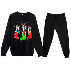 Skunk In Xmas Socks Funny Holiday Ugly Sweater Christmas Long Sleeve Premium Crewneck Sweatsuit Set